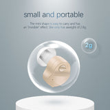 Portable Digital Hearing Amplifier Aids